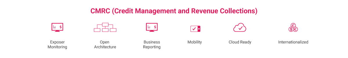 Credit Management and Revenue Collections